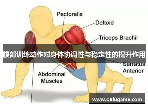 腹部训练动作对身体协调性与稳定性的提升作用